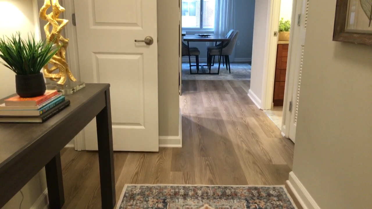 Video Tour of Newly Renovated Apartment 1620 | The Washington Floor Plan | Carlyle Place Apartments | Alexandria Apartments