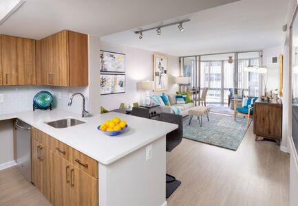 Video Tour of Model Apartment Ashton Floor Plan